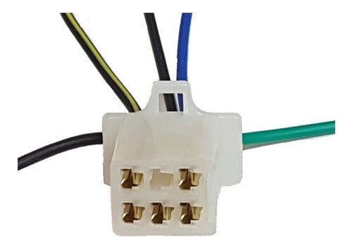 CONECTOR-ARNES CDI 5 PUNTAS