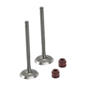 VALVULA ADMISION ESCAPE SET ITALIKA 125 FL (13-19) (WSTD)
