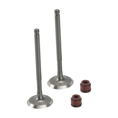 VALVULA ADMISION ESCAPE SET ITALIKA 125 FL (13-19) (WSTD)