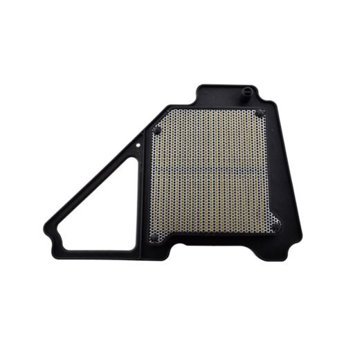 FILTRO DE AIRE YBR-125