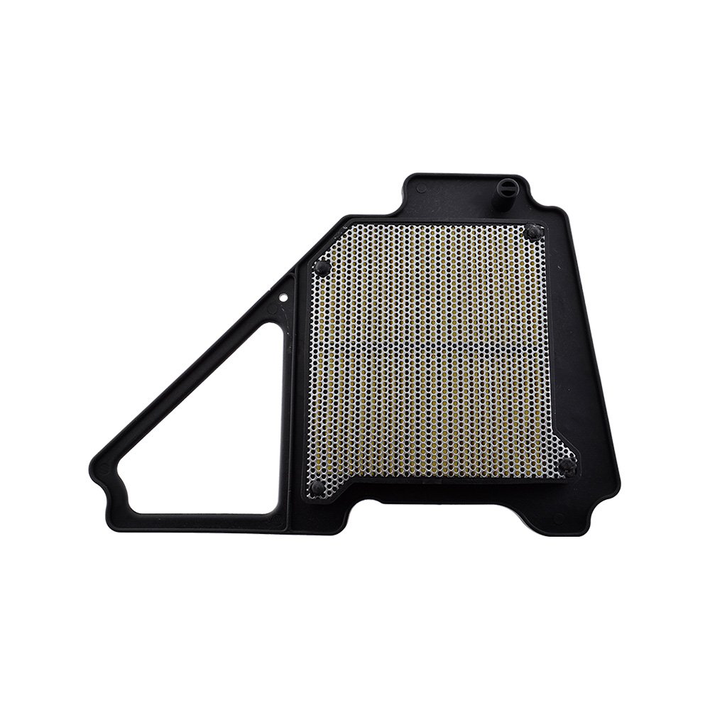 FILTRO DE AIRE YBR-125