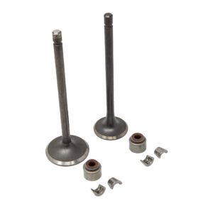 VÁLVULAS ADMISIÓN Y ESCAPE CON SELLOS PARA YAMAHA FZ16 2.0